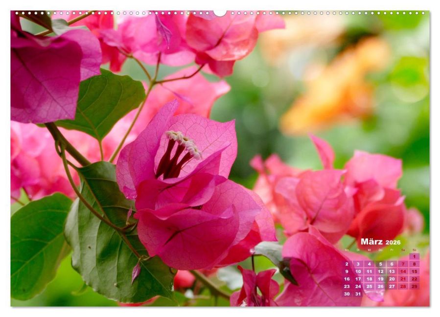 InsideView 7