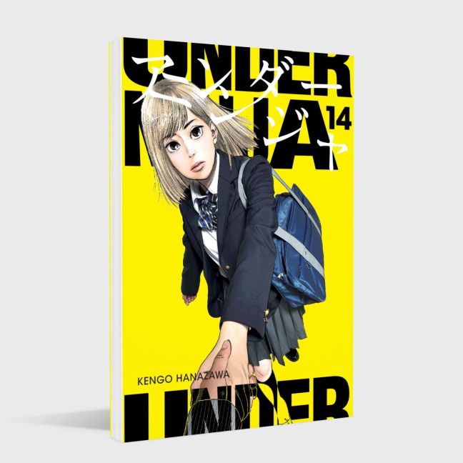 InsideView 1