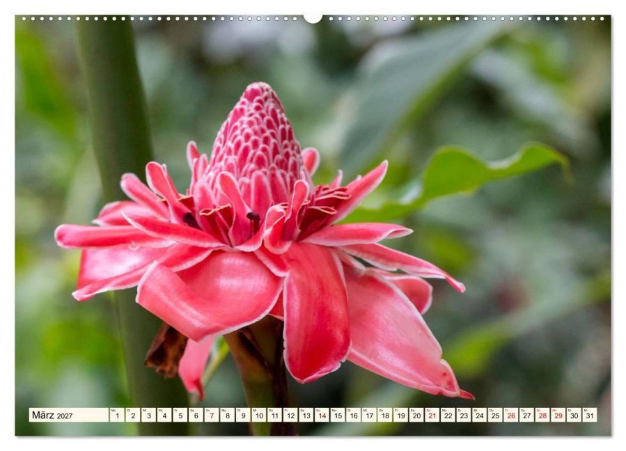 InsideView 7