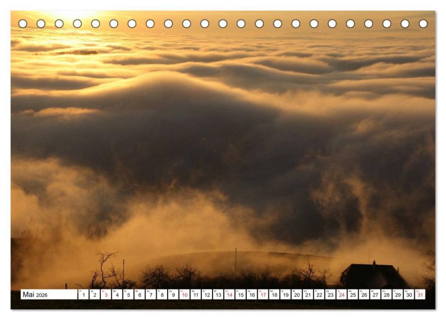 InsideView 10