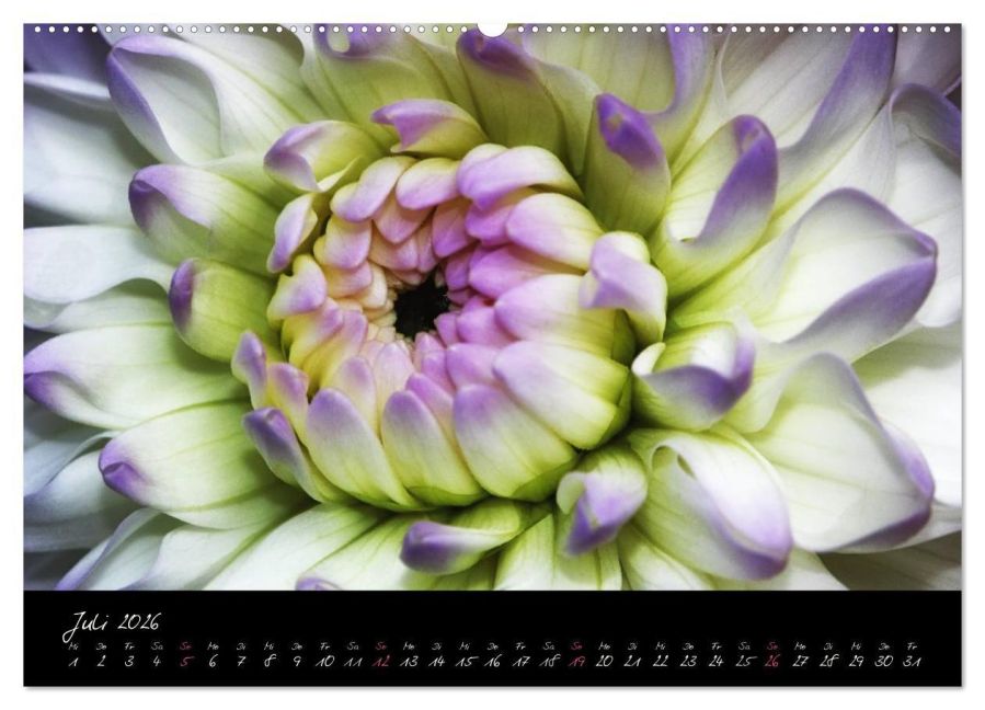 InsideView 11