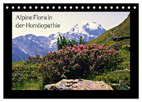 Alpine Flora in der Homöopathie (Tischkalender 2025 DIN A5 quer), CALVENDO Monatskalender - Claudia Schimon
