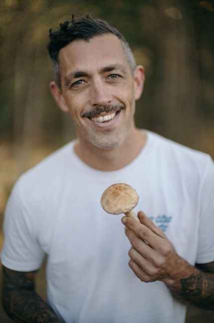 InsideView 1