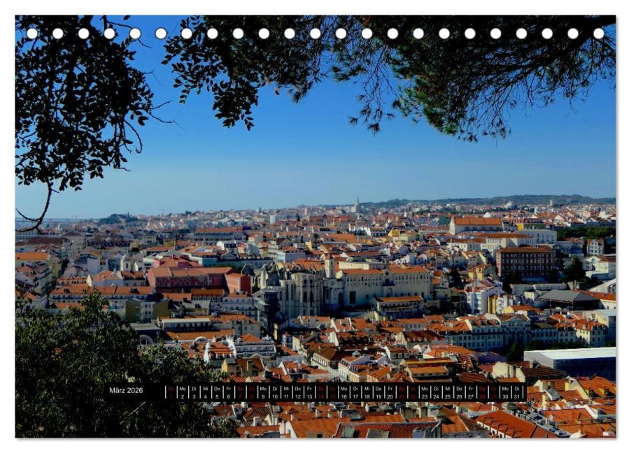 InsideView 8