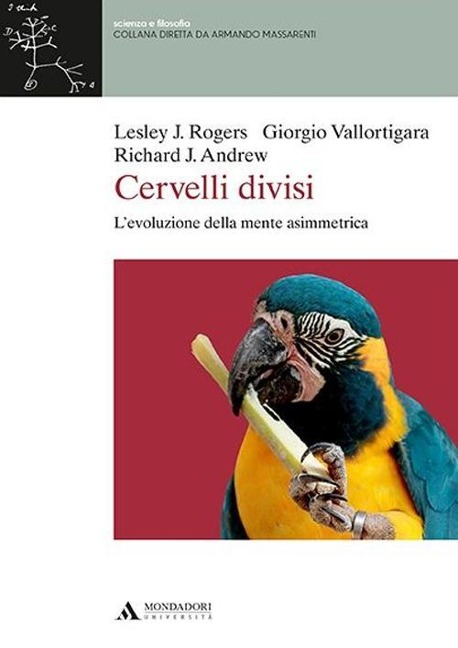 Cervelli divisi. L'evoluzione della mente asimmetrica - Lesley J. Rogers, Giorgio Vallortigara, Richard J. Andrew