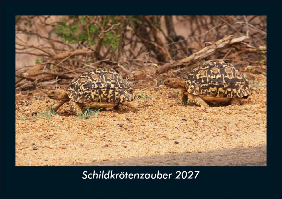 Schildkrötenzauber 2027 Fotokalender DIN A5 - Tobias Schmitt, Kevin Heber