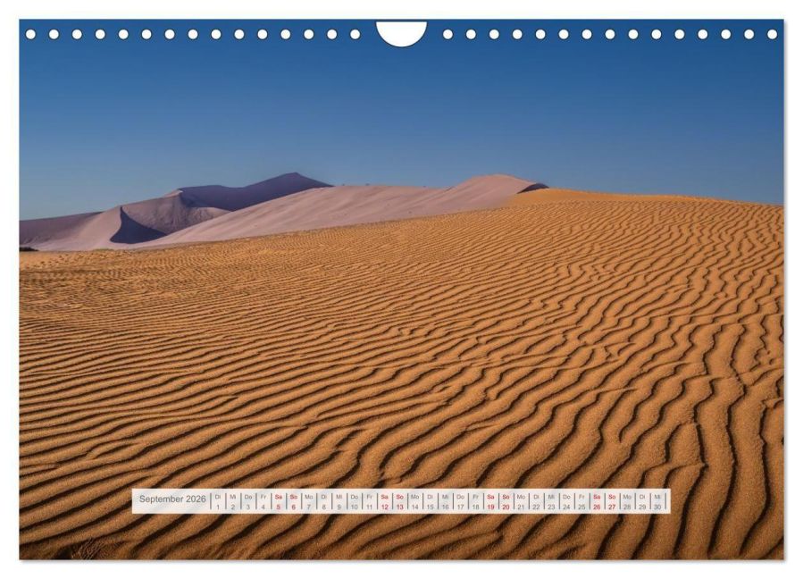 InsideView 14