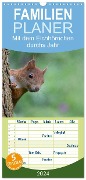 Familienplaner 2024 - Mit dem Eichhörnchen durchs Jahr mit 5 Spalten (Wandkalender, 21 x 45 cm) CALVENDO - Margret Brackhan