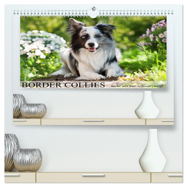 Border Collies - nicht nur schwarzweiß (hochwertiger Premium Wandkalender 2026 DIN A2 quer), Kunstdruck in Hochglanz - Judith Kiener - DoraZett