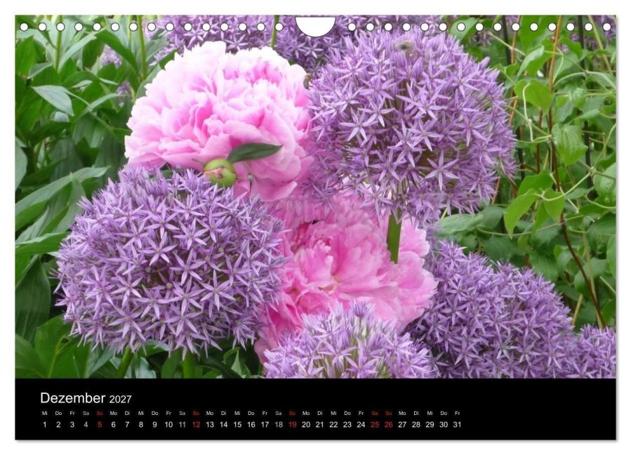 InsideView 4