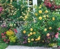 Im Rosengarten 2025 - DUMONT Garten-Kalender - Querformat 52 x 42,5 cm - Spiralbindung - 