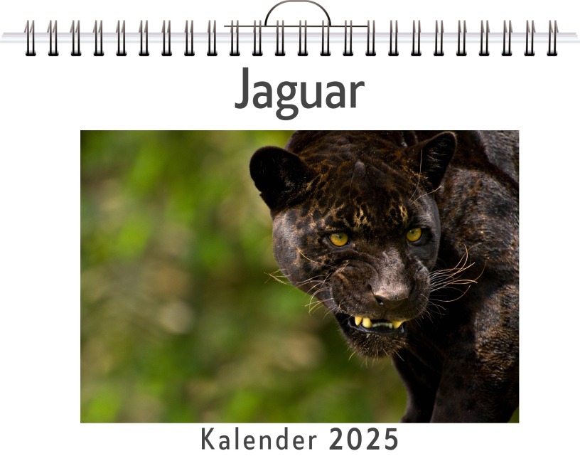 Jaguar - Alice Weber