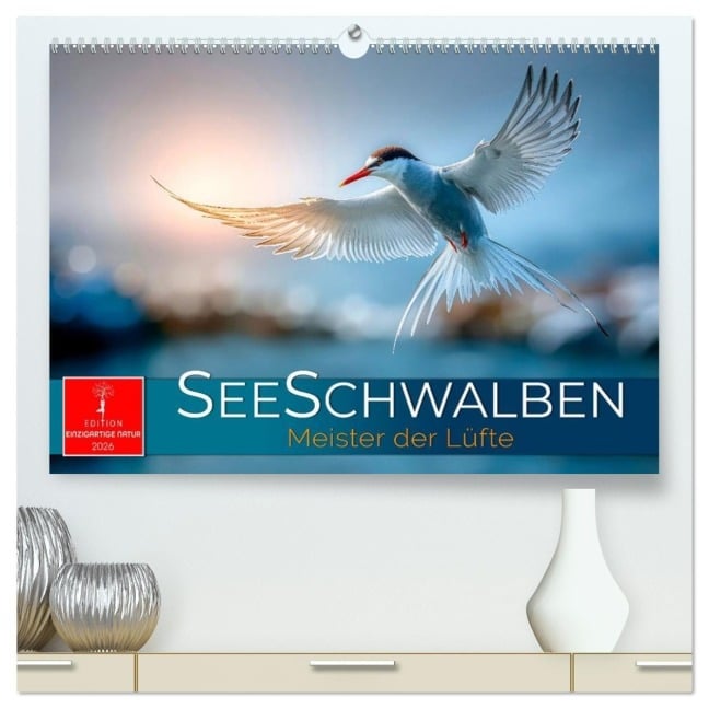 Seeschwalben - Meister der Lüfte (hochwertiger Premium Wandkalender 2026 DIN A2 quer), Kunstdruck in Hochglanz - Roder Roder