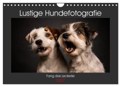 Cover-Bild zum Titel 'Fang das Leckerlie (Wandkalender 2027 DIN A4 quer), CALVENDO Monatskalender' von 'Christiane Heggemann Eyecatcher-Fotografie'