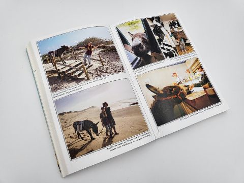 InsideView 7