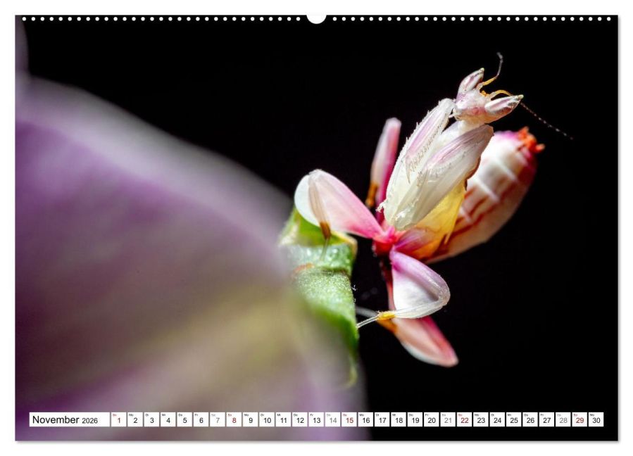 InsideView 3