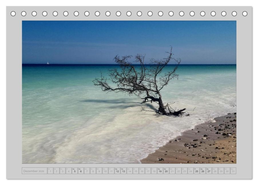 InsideView 4