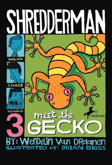 Shredderman - Wendelin Van Draanen