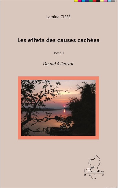 Les effets des causes cachées - Lamine Cissé