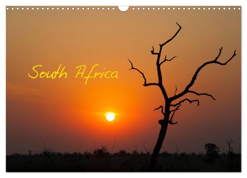South Africa / UK-Version (Wall Calendar 2025 DIN A3 landscape), CALVENDO 12 Month Wall Calendar - Frauke Scholz