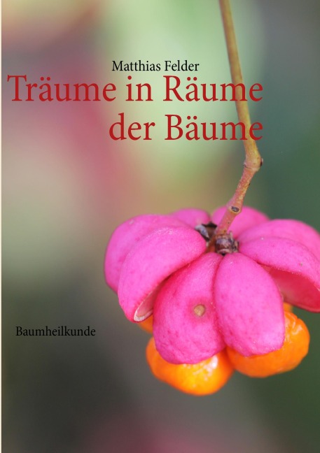 Träume in Räume der Bäume - Matthias Felder