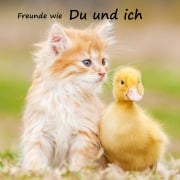 Cover-Bild zum Titel 'Freunde wie du und ich - das beste Freundebuch weit und breit' von 'Chantal Schlatter'