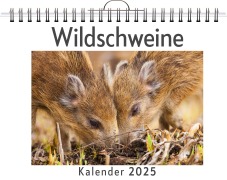 Cover-Bild zum Titel 'Wildschweine' von 'Paul Lehmann'