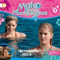 Cover-Bild zum Titel 'Folge 11: Überraschender Besuch (Das Original-Hörspiel zur TV-Serie)' von 'Thomas Karallus'
