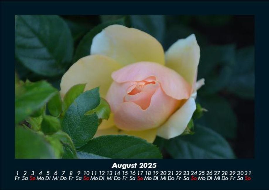 InsideView 12