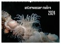 unterwasser makro 2024 (Wandkalender 2024 DIN A2 quer), CALVENDO Monatskalender - Claudia Weber-Gebert