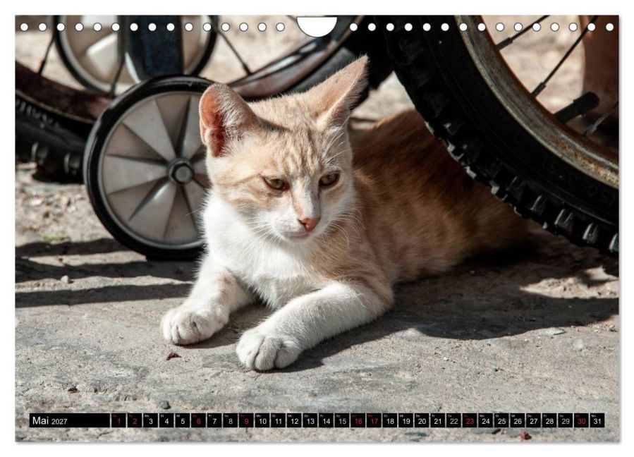 InsideView 10