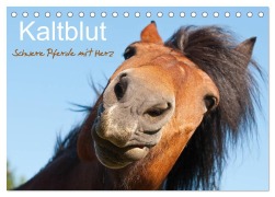 Cover-Bild zum Titel 'Kaltblut - schwere Pferde mit Herz (Tischkalender 2026 DIN A5 quer), CALVENDO Monatskalender' von 'Meike Bölts'