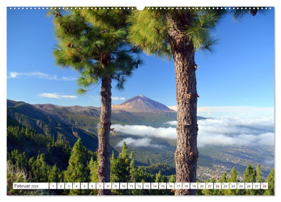 InsideView 6