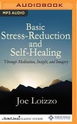 Basic Stress-Reduction and Self-Healing Through Meditation, Insight, and Imagery - Joe Loizzo
