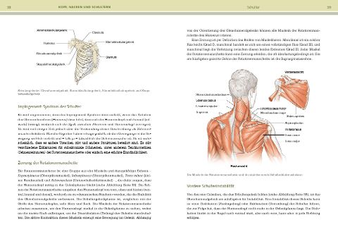 InsideView 3