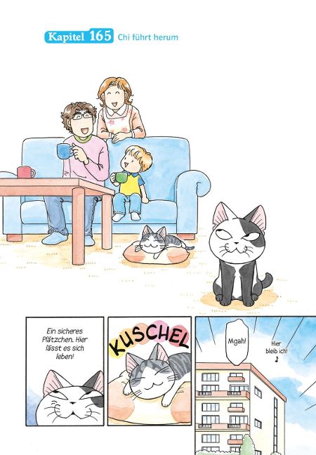 InsideView 1