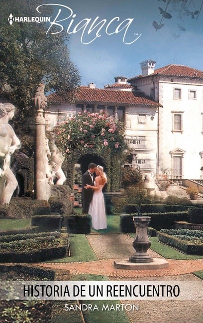 Historia de un reencuentro - Sandra Marton