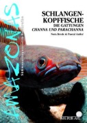 Cover-Bild zum Titel 'Art für Art: Schlangenkopffische' von 'Nora Brede, Pascal Antler'