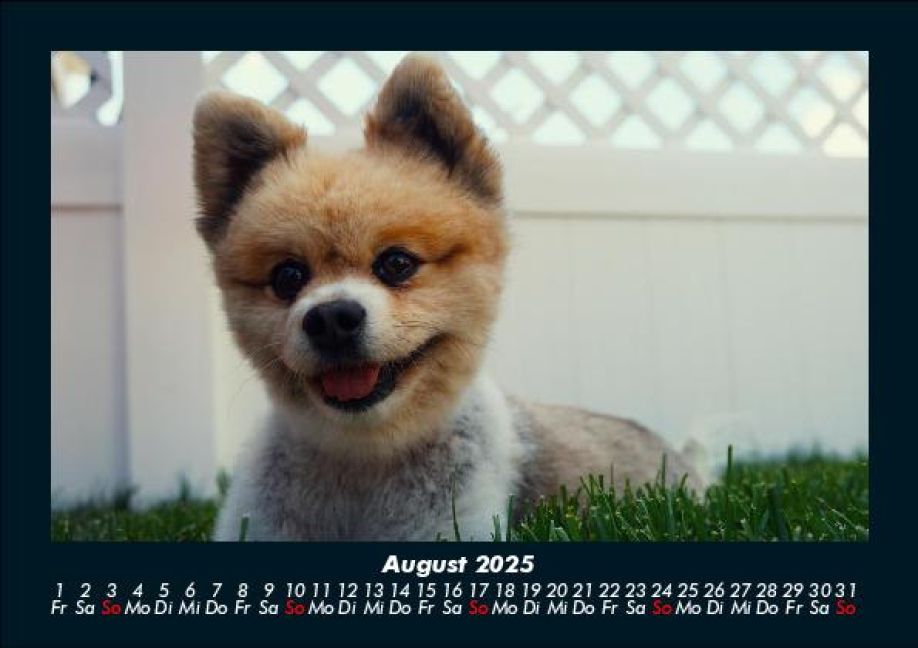 InsideView 12