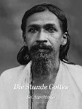 Cover-Bild zum Titel 'Die Stunde Gottes' von 'Sri Aurobindo'