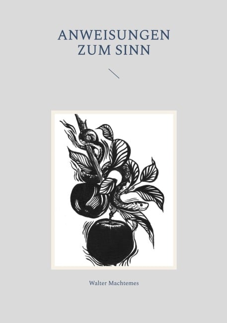 Anweisungen zum Sinn - Walter Machtemes
