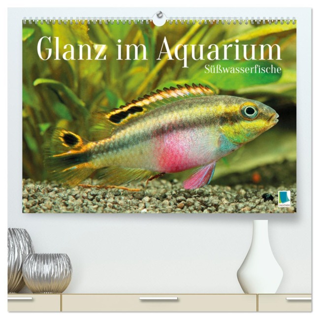 Glanz im Aquarium: Süßwasserfische (hochwertiger Premium Wandkalender 2026 DIN A2 quer), Kunstdruck in Hochglanz - Calvendo Calvendo