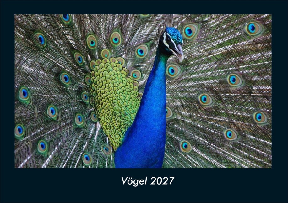 Vögel 2027 Fotokalender DIN A4 - Tobias Schmitt, Kevin Heber