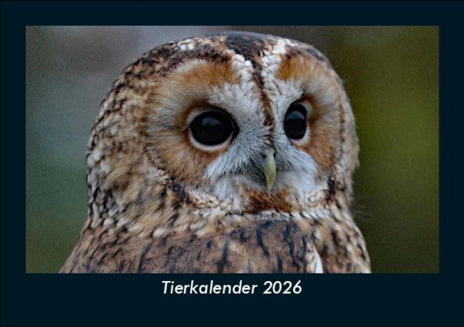 Tierkalender 2026 Fotokalender DIN A5 - Tobias Becker