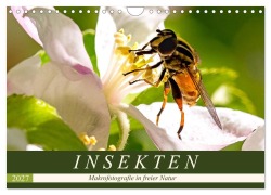 Cover-Bild zum Titel 'INSEKTEN - Makrofotografie in freier Natur (Wandkalender 2027 DIN A4 quer), CALVENDO Monatskalender' von 'Andrea Dreegmeyer'
