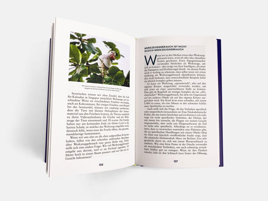 InsideView 20