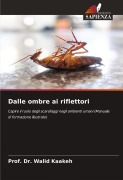 Cover-Bild zum Titel 'Dalle ombre ai riflettori' von 'Walid Kaakeh'