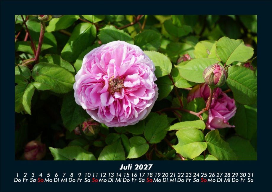InsideView 11