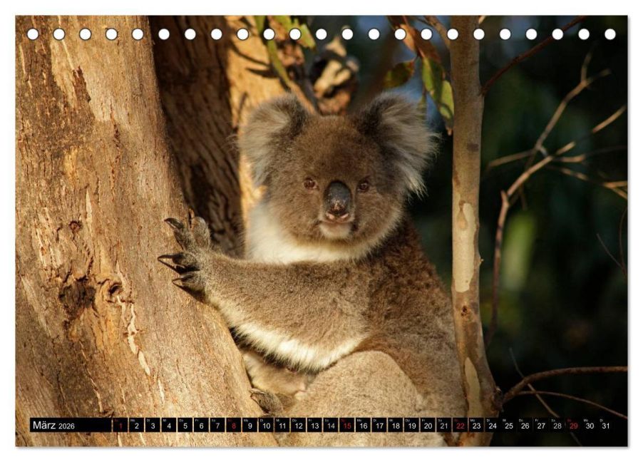 InsideView 8