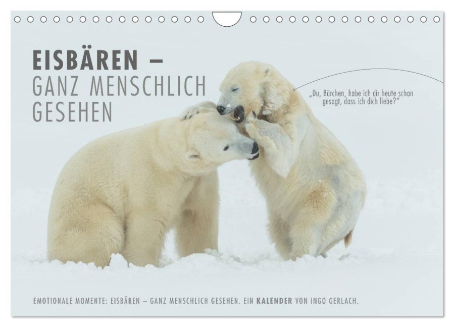 Emotionale Momente: Eisbären - ganz menschlich gesehen. (Wandkalender 2026 DIN A4 quer), CALVENDO Monatskalender - Ingo Gerlach